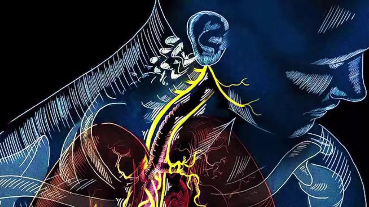 12 Ways to Unlock the Powers of the Vagus Nerve