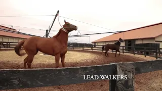 Priefert Horse Walker