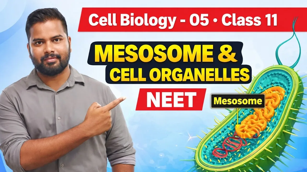 Cell biology -05 // Class 11 biology || Mesosome || Cell organelles || NEET || Revolution Education