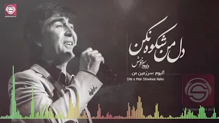                                        دل من شکوه نکن دندنها
