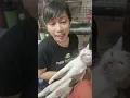 Download Lagu Kucing ini dipukul sampai badannya kaku dan lumpuh total #viral #viralindonesia #catrescue #cats