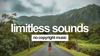 Download DayFox - Lioness (Extended) [Vlog No Copyright Music] MP3