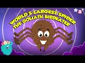 Largest Tarantula Spider in the World - The Goliath Birdeater The Biggest Spider Dr Binocs Show