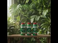 Houseplant Trinity - SiLution X-Cel and The Missing Link