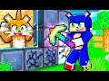 Download Lagu 7 Ways To Break Into TAILS' Secure Minecraft House…