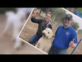 Rent your own private dog park by the hour with Sniffspot