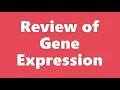 Bio Ch 12 Gene Expression