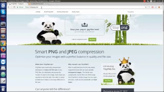 Compress and Optimize Images in PHP - Tinypng API