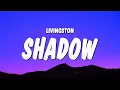 Livingston - Shadow don t think twice you ll be dead in a second