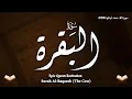 Download Lagu Surah Al-Baqara ( Full ) By Alaa Aqel | Penerjemah ( Bahasa )