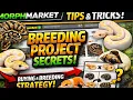 MorphMarket Secrets Buying Smart Planning Your Next Project