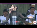 Kumbang kumbang - Cantika nuswantoro || Adella Live Anniversary Bekicot Betal King Community