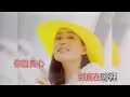 陳小雲  愛情的騙子我問你 KTV 高清修復版