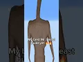 Mr Beast in Minecraft