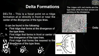Fingerprint Pattern Arch Pattern Loop Pattern Rules in locating the Delta and Core
