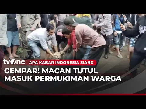 Macan Tutul Jawa Masuk Permukiman di Bandung