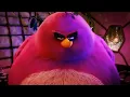 Angry Birds Terence Meme HD Template