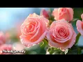 Download Lagu Эту музыку можно слушать вечно🌺Музыка для души🌺Сборник лучших мелодий🌿Сергей Грищук#14