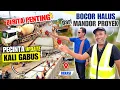 Download Lagu ADA BERITA PENTING💥PENGECORAN JL KALI GABUS TERNYATA ADA BAGIAN SELAMA INI MASYARAKAT BLM PAHAM AKAN