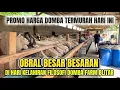 Download Lagu OBRAL HARGA DOMBA TERMURAH BUNTINGAN FULL BLOOD DORPER DI HARI KELAHIRAN FILOSOFI DOMBA FARM BLITAR
