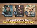 A Message from Your Guides with Spiritual Guidance for the Next 7 Days Timeless Tarot Readings