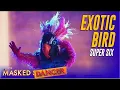 Download Lagu Judges Are Convinced The Masked Dancer Exotic Bird is a Model - Do You Agree?