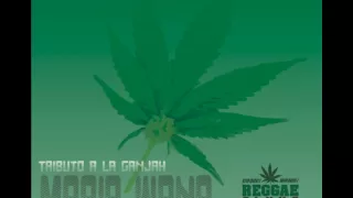 Download Alpha Blondy - Marijuana MP3
