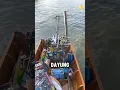 Download Lagu Balapan kece ala Thailand❗🤙🏻 #short #boat #racing #thailand #viralshort