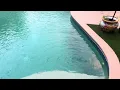 AQUASTRONG Variable Speed Pool Pump Setting