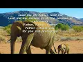 Ndikhokhele Bawo (Lead Me Oh Father) - Lyric Video - Cape Town Youth Choir