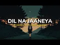 Dil Na Jaaneya - Rochak Kohli Ft.Lauv & Akasa (Lyrics)