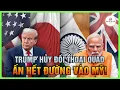 Download Lagu Trump hủy đối thoại QUAD, Ấn hết đường vào Mỹ! Kim 3 giới thiệu Kim 4, họ Trư chiếm Bắc Hàn