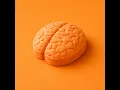Neurodivergent - Inpatient, Ren & Chris Webby
