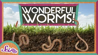 Worms Are Wonderful Amazing Animals Backyard Science SciShow Kids