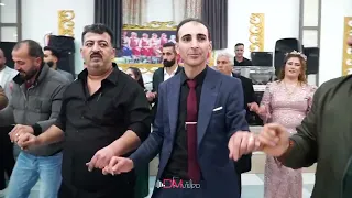 الفنان دلبرين اسعد رقص شيخاني ايمو BY DM VİDEO Wedding Music 