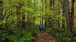 Autumn 2025 Music Video Ft So Long By Mattias Tell 