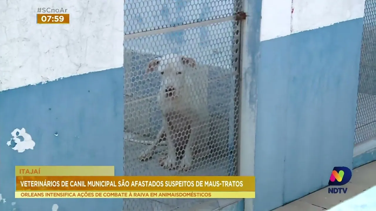 Justiça afasta veterinários de canil municipal de Itajaí suspeitos de maus-tratos