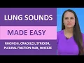 Lung Sounds Made Easy Nursing Rhonchi Stridor Wheeze Crackles Pleural Friction Rub NGN NCLEX