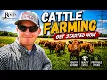 Start Raising Cattle The basic info needed to get your first cow