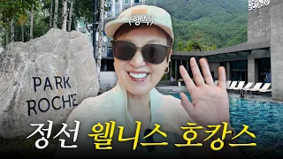 이래서 호캉스 하는구나..?🏝️ | 정선 파크로쉬 리조트