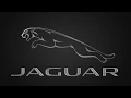 Jaguar Animated Logo