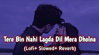 tere bin nahi lagda dil mera dholna slowed reverb songs