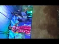 Mind block song dance performance
