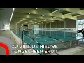 Download Lagu Zo ziet de nieuwe Tongelreep eruit