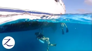 YACHT LIFE: Boatwork, Chores, & MONEY MONEY MONEY!💰💰(Ep 91)