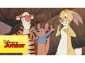 Download Lagu Mini aventuras de Winnie the Pooh - La fiesta de Piglet