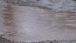 Bowie County Swamp
