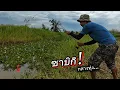 Download Lagu ❗ลองใช้วิธีนี้ ทำทุกวิถีทาง..กับการหากับข้าวกลางทุ่งในครั้งนี้ #fishing 