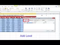 Microsoft Excel How to Sort a Table on Multiple Fields Using the Custom Sort Command