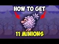 How to get 11 Minions in the Terraria